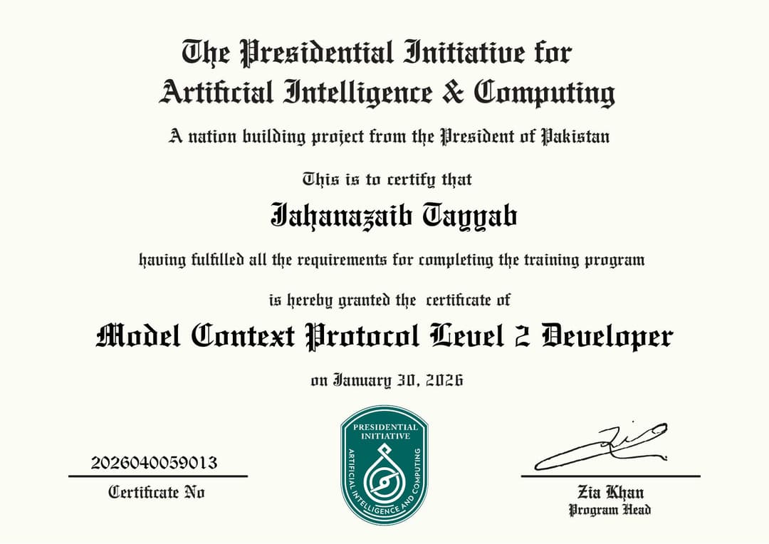 Model Context Protocol Level 2 Developer